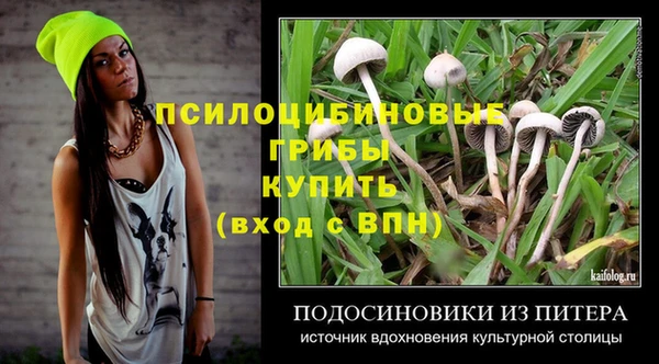 СК Заволжск