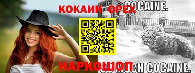 apvp Аргун
