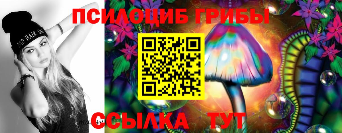 Батайск  Галлюциногенные грибы Psilocybe  Псилоцибиновые грибы GOLDEN TEACHER  Вход с VPN 